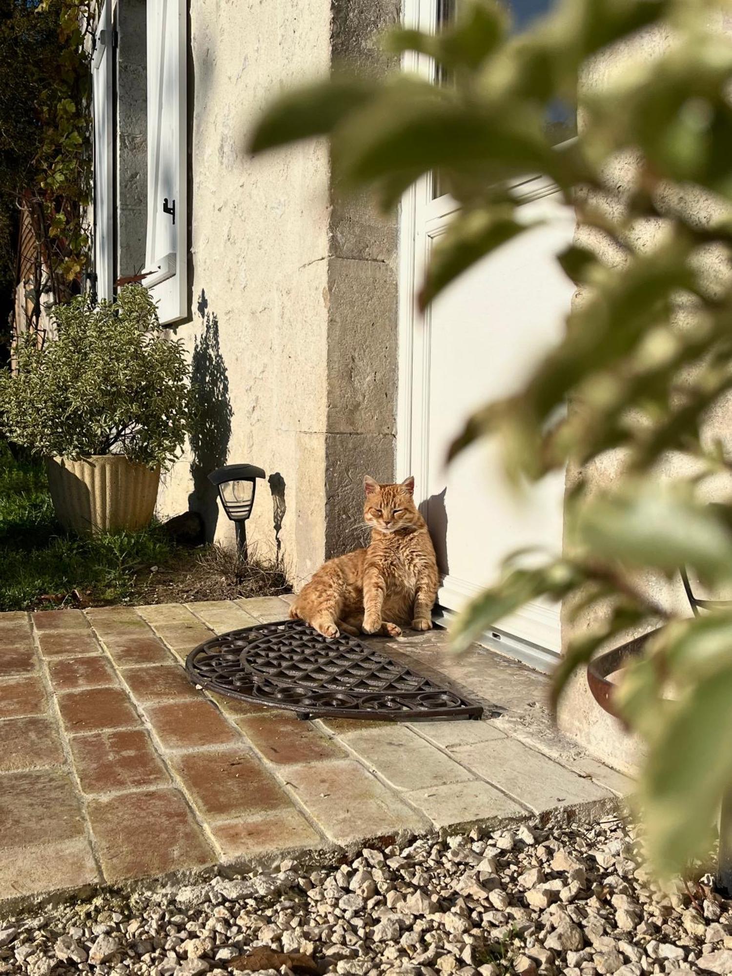 Maison Moz Fontaines-en-Sologne 외부 사진